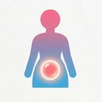 Accurate Ovulation Fertility Calculator